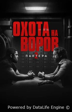 Охота на воров 2: Пантера (2025)
